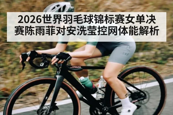 2026世界羽毛球锦标赛女单决赛陈雨菲对安洗莹控网体能解析
