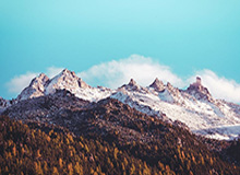 金年会官网-谷爱凌：2025年是网暴谣言最严重的一年，也是最难的一年